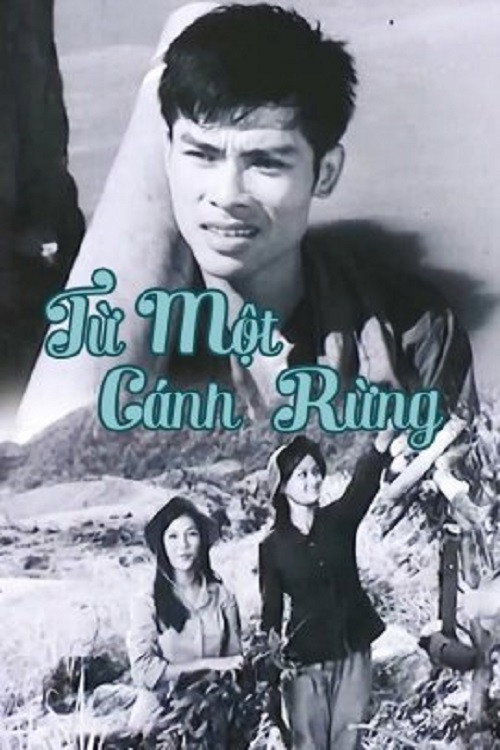 Movie poster for From The Same Forests (1978)