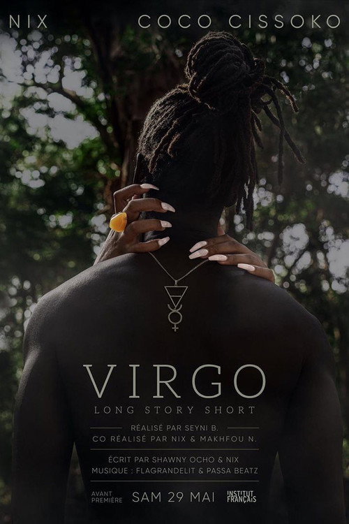Movie poster for Virgo – Long Story Short (2021)