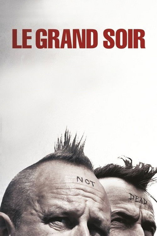 Movie poster for The Big Night (2012)