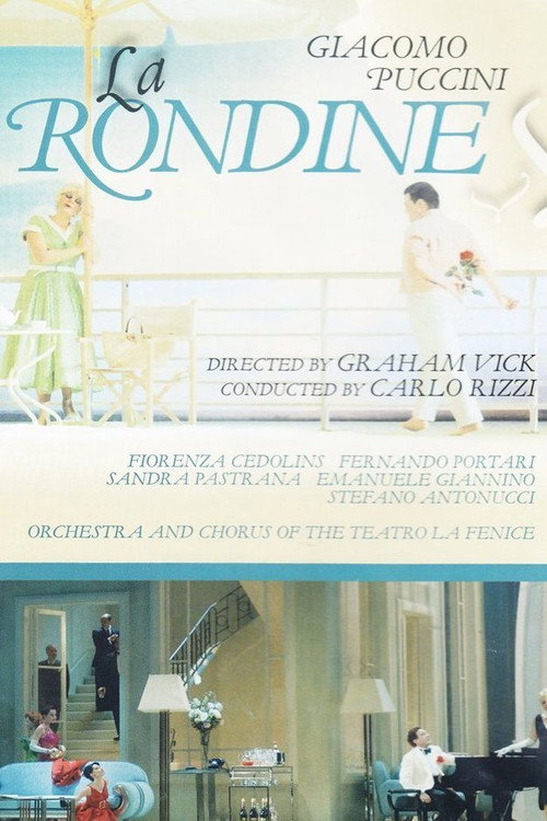 Movie poster for La Rondine (2008)