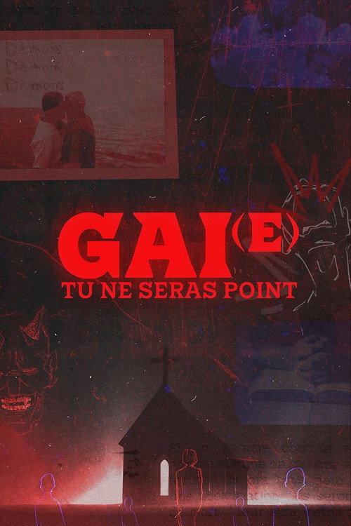 Movie poster for Gai(e), tu ne seras point (2024)