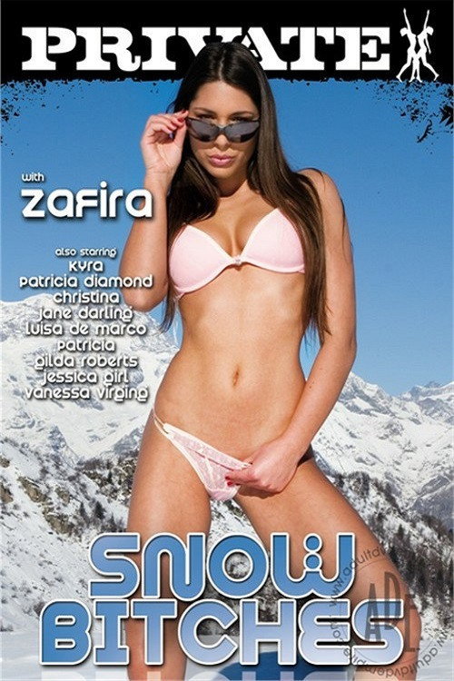 Movie poster for Snow Bitches (2011)