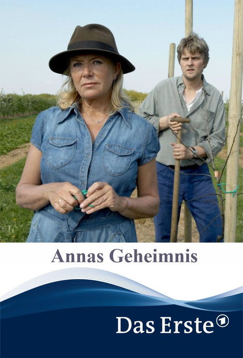 Movie poster for The Secret of Anna (2009)