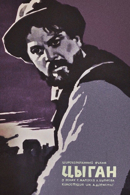 Movie poster for The Gypsy (1967)