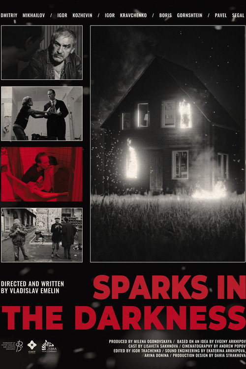 Movie poster for Sparks in the darkness (2024)