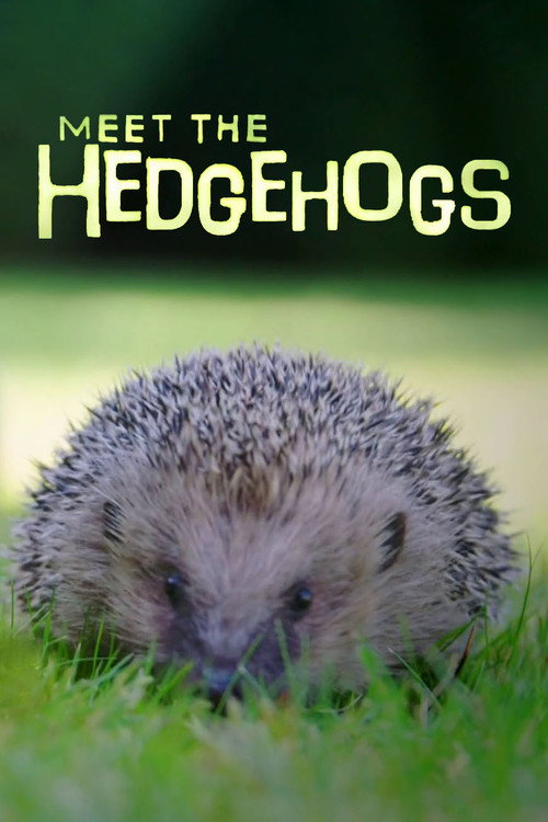 Movie poster for Meet the Hedgehogs (2017)
