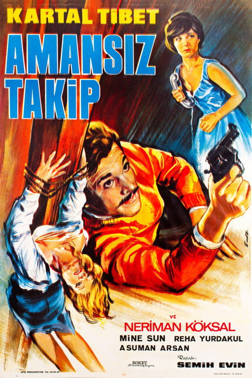 Movie poster for Amansız Takip (1967)