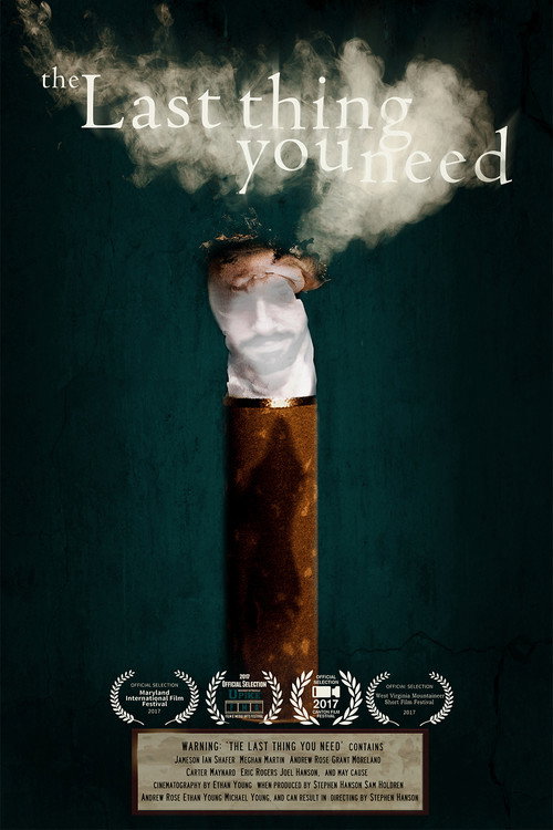 Movie poster for The Last Thing You Need (2017)