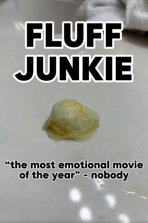 Movie poster for Fluff Junkie