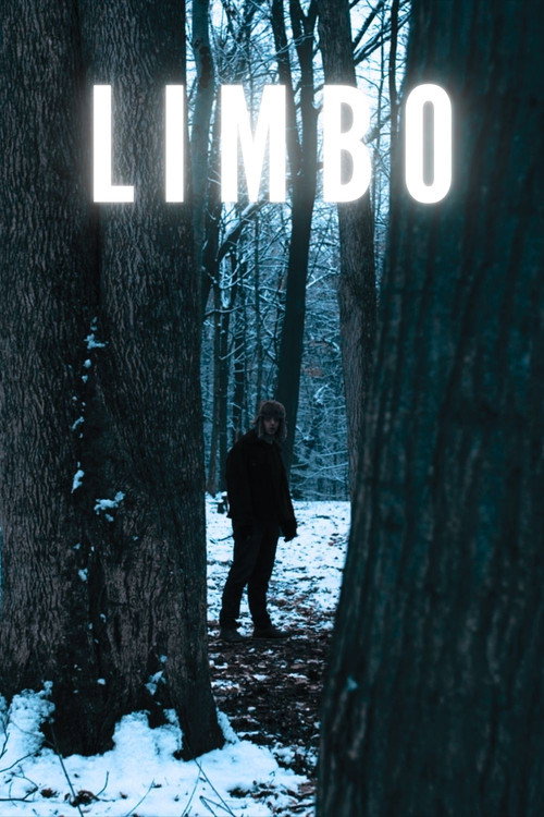 Movie poster for Limbo (2024)