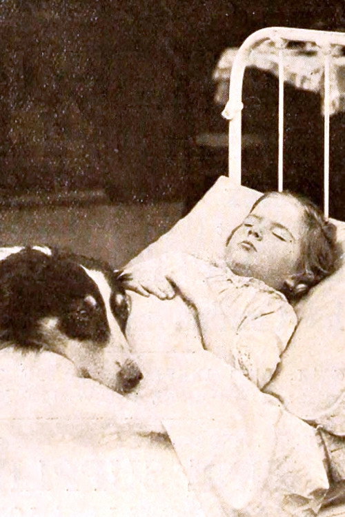 Movie poster for Playmates (1912)