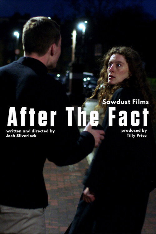 Movie poster for After the Fact