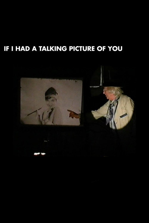Movie poster for If I Had a Talking Picture of You (2002)