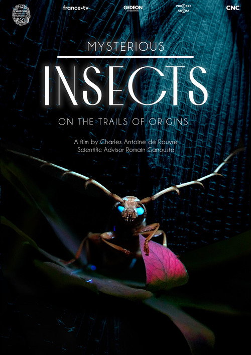 Movie poster for Mysterious Origins of Insects (2022)