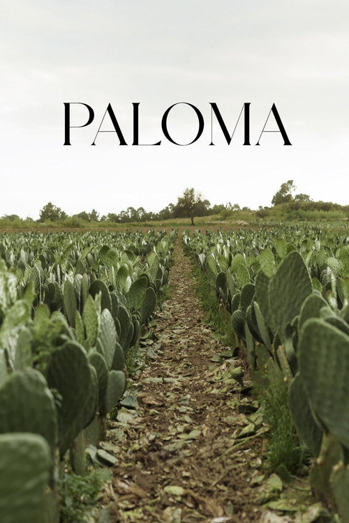 Movie poster for Paloma (2025)