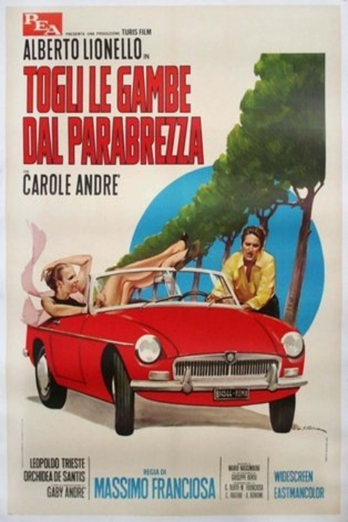 Movie poster for Togli le gambe dal parabrezza (1969)