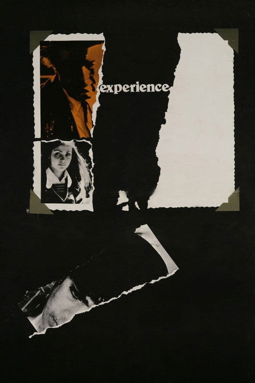 Movie poster for The Experience (1973)