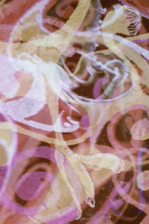 Movie poster for Psychedille (1968)