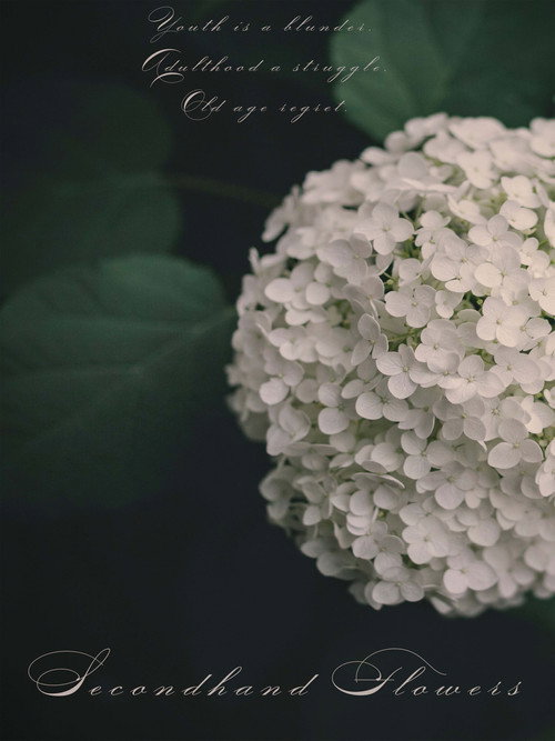 Movie poster for Secondhand Flowers (2021)