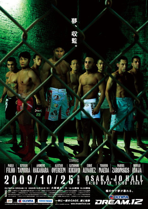 Movie poster for DREAM 12 (2009)