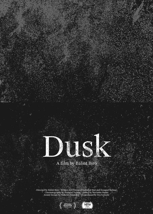 Movie poster for Dusk (2020)