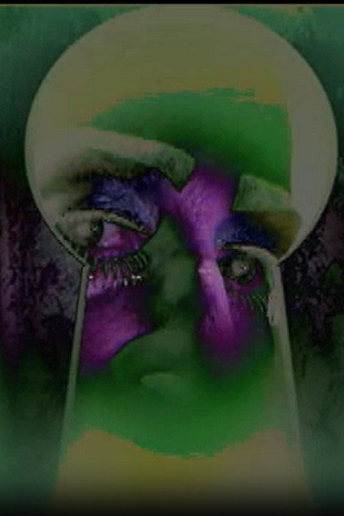Movie poster for Room 666 (2010)