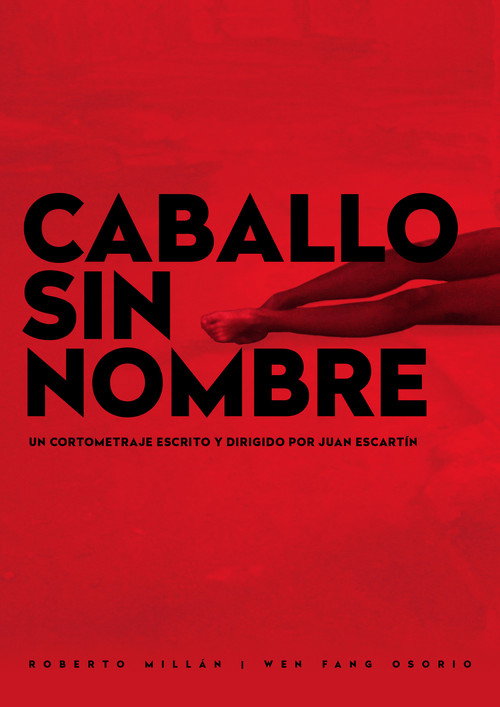 Movie poster for Caballo sin Nombre (2020)