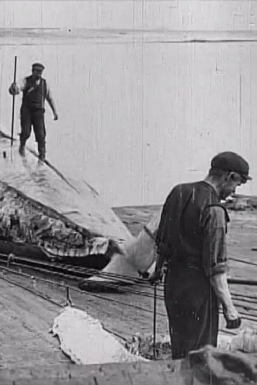 Movie poster for Whaling Afloat and Ashore (1908)