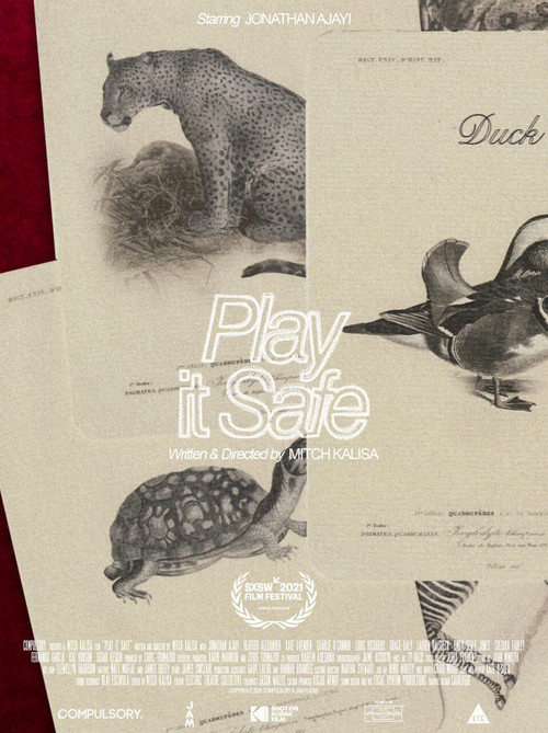 Movie poster for Play It Safe (2021)