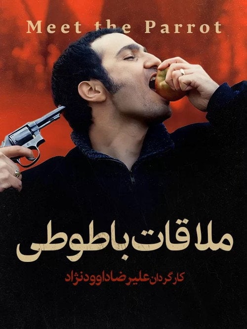 Movie poster for Meeting the Parrot