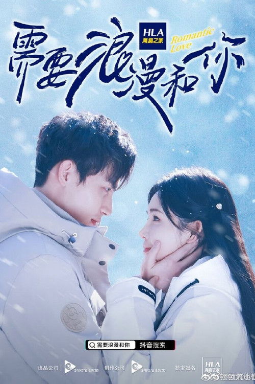 Romantic Love poster