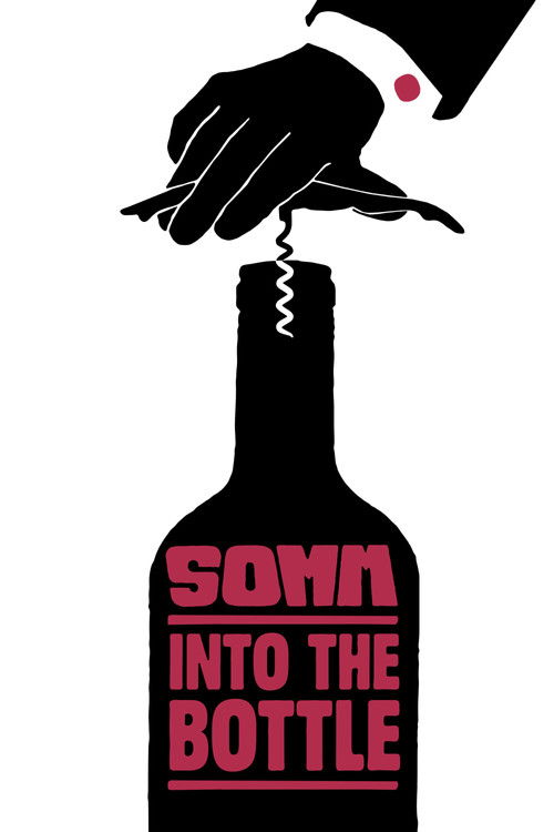 Movie poster for Somm: Into the Bottle (2015)