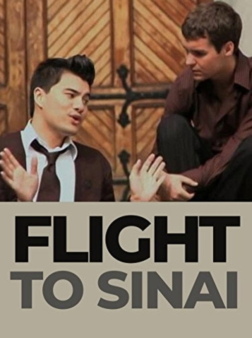 Movie poster for Flight to Sinai (2009)