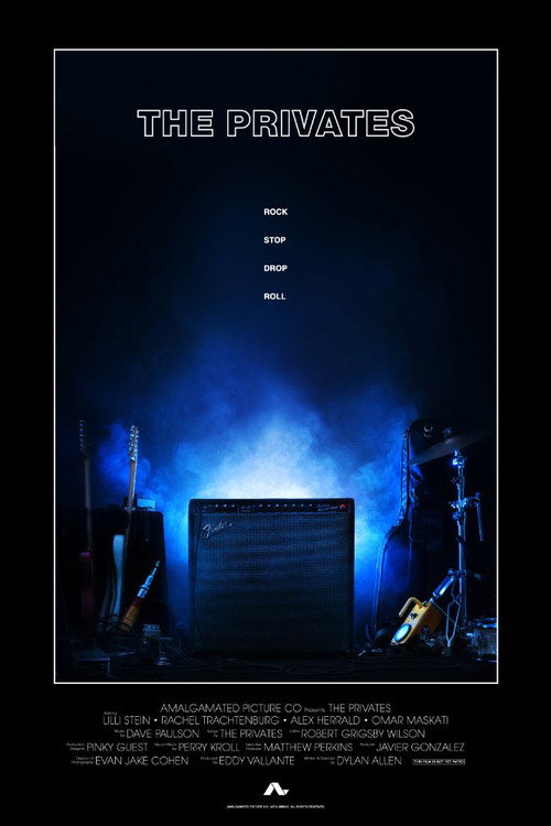 Movie poster for The Privates (2017)