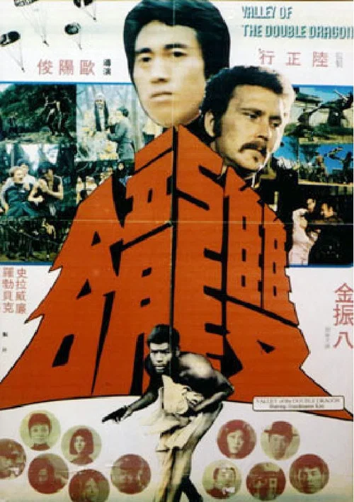 Movie poster for Valley of the Double Dragon (1974)