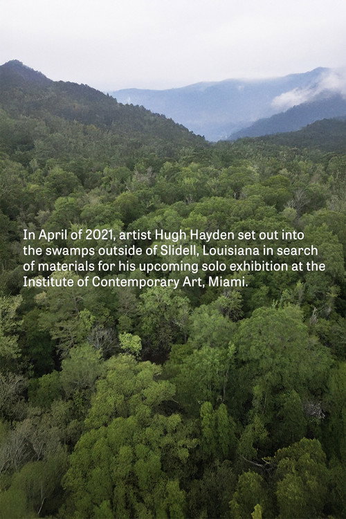 Movie poster for Hugh Hayden: Skeletons in the Swamp (2022)
