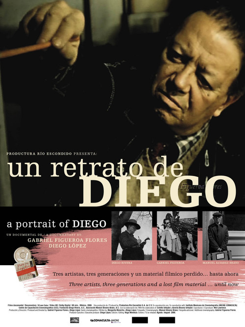 Movie poster for Un retrato de Diego (2007)