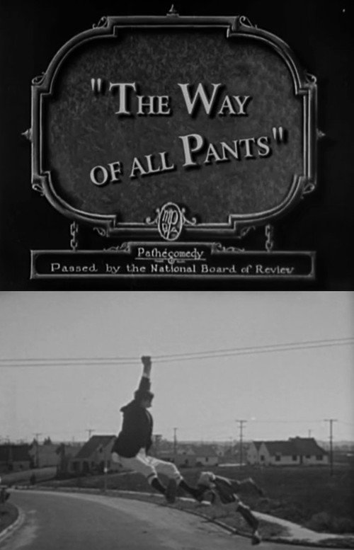 Movie poster for The Way of All Pants (1927)