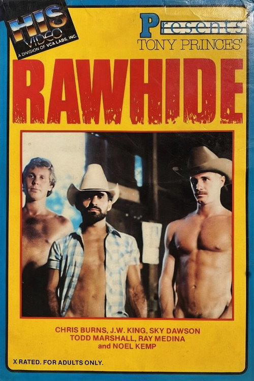 Movie poster for Rawhide (1981)