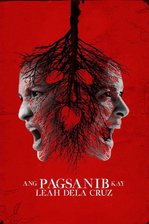 Movie poster for Ang Pagsanib kay Leah Dela Cruz (2017)