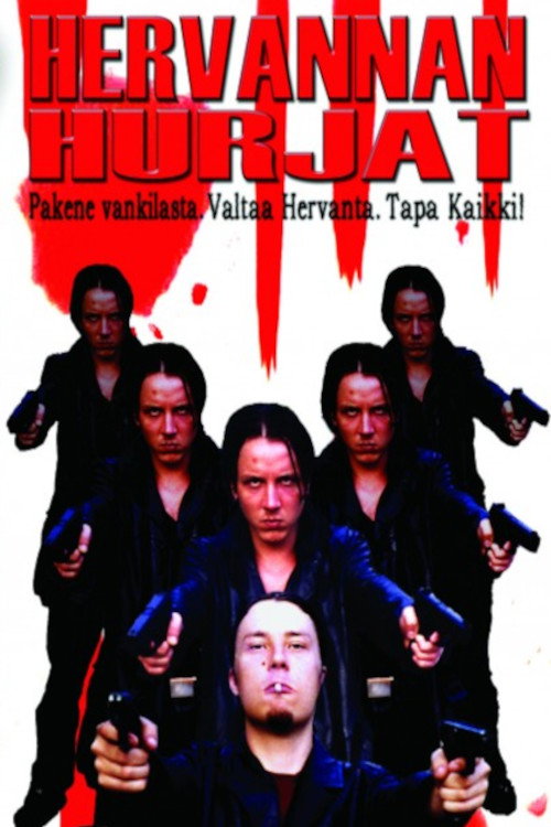Movie poster for Hervanta Fury (2001)