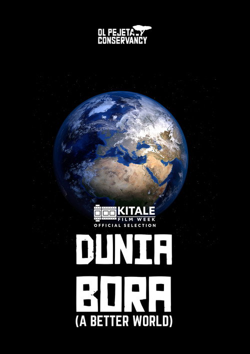 Movie poster for DUNIA BORA