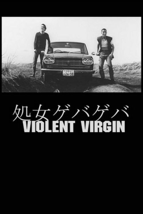 Movie poster for Violent Virgin (1969)