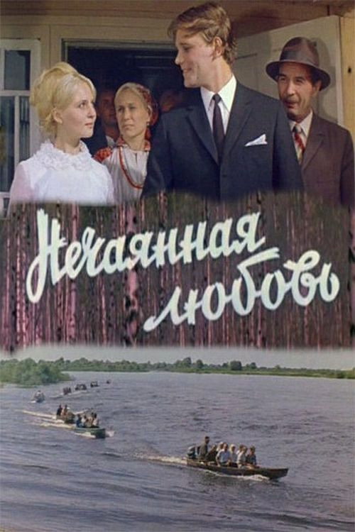 Movie poster for Accidental Love (1971)