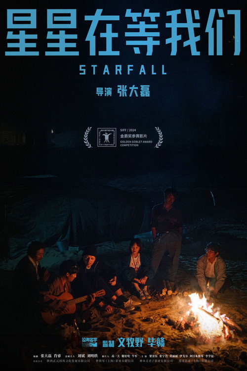 Movie poster for Starfall (2024)