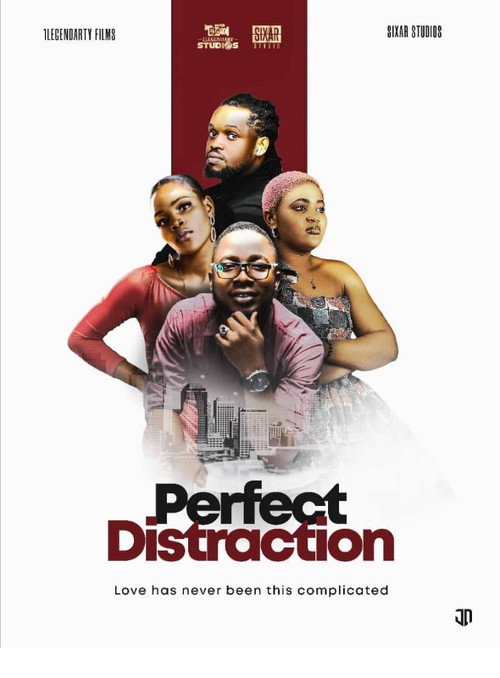 Movie poster for Perfect Distraction
