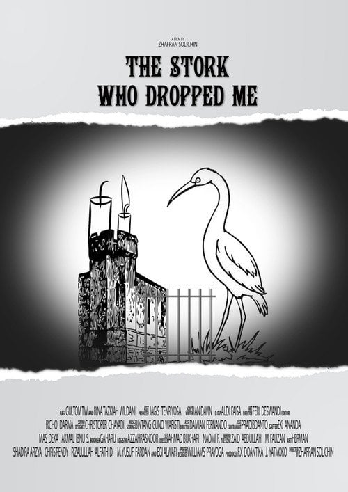 Movie poster for The Stork Who Dropped Me (2016)