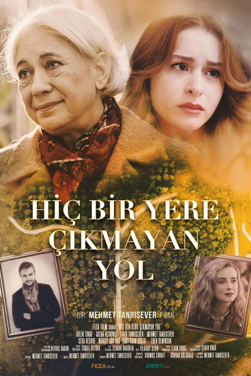 Movie poster for Hiçbir Yere Çıkmayan Yol (2022)