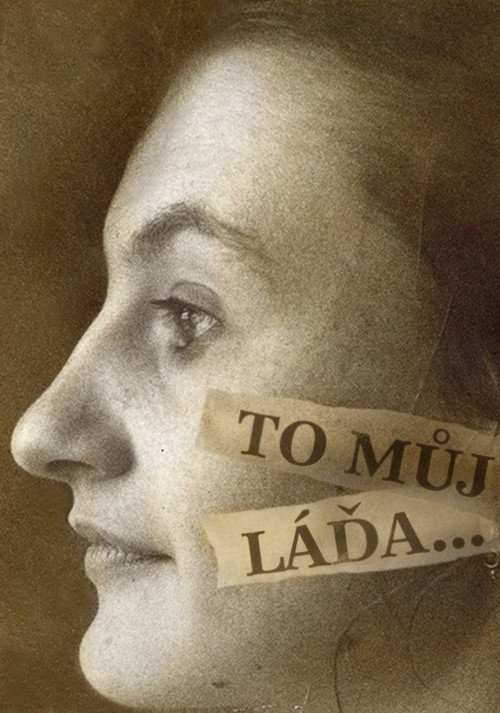 Movie poster for To můj Láďa... (1996)