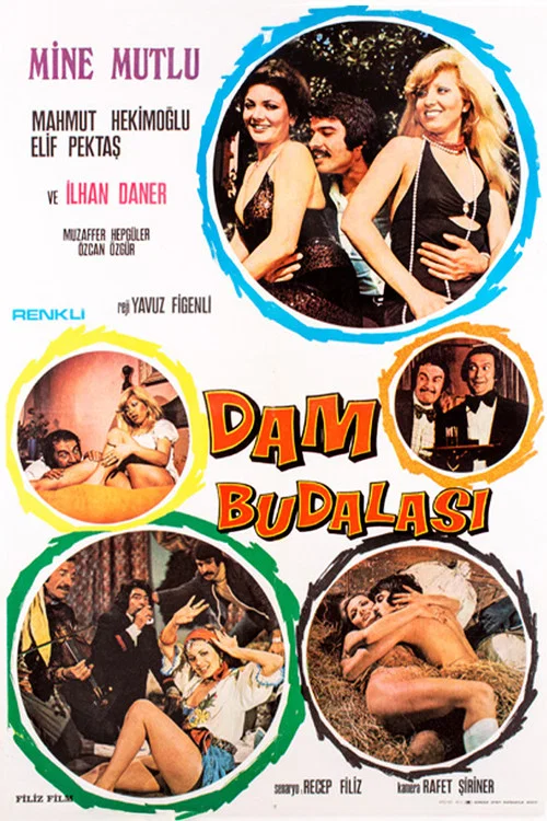 Movie poster for Dam Budalası (1975)